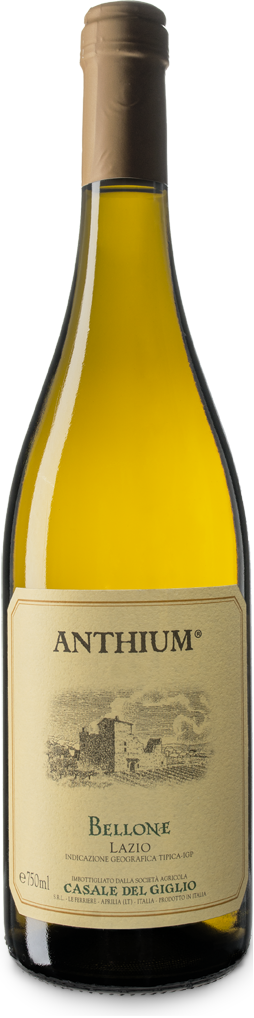 ‘Anthium’ Bellone Bianco Lazio IGT