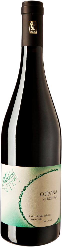 ‘Corvina’ Veronese IGT